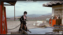 Elvira Trying To Fill Her Car Gas Tank GIF