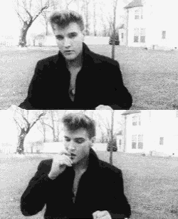 Elvis Presley GIF