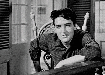 Elvis Presley King Creole GIF