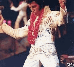 Elvis Presley King Of Rock And Roll GIF
