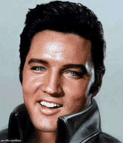 Elvis Presley Singer GIF