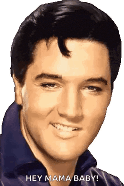 Elvis Presley Smile GIF