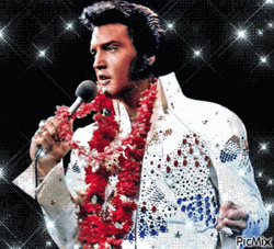 Elvis Presley Sparkling Singer GIF