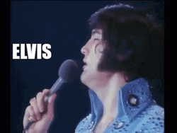 Elvis Presley Thank You Very Much Singing GIF