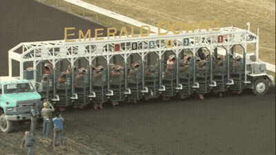 Emerald Downs Is Written On The Side Of A Large Truck GIF