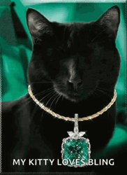 Emerald Green Cat