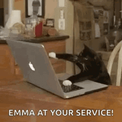 Emma At Your Service Typing GIF