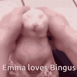 Emma Loves Bingus GIF