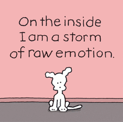 Emotional Chippy The Dog GIF