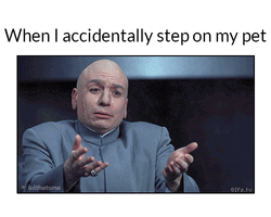 Emotional Dr. Evil Accidentally Step On Pet GIF
