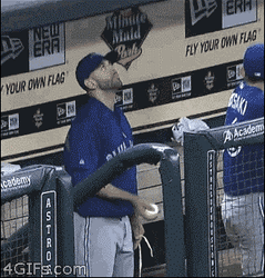 Emotional Kid Baseball Fan GIF