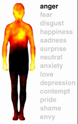 Emotional Sensations Experiences GIF