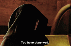 Emperor Palpatine Star Wars You've Done Well GIF