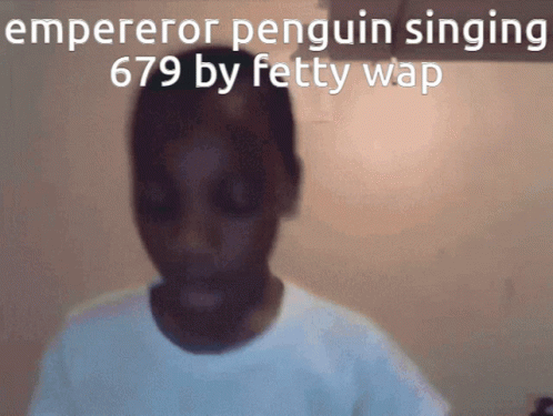 Emperor Penguin Singing 679 By Fetty Wap With A Blurry Picture GIF