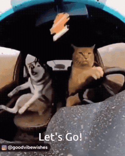 Emperor's New Groove Character Giving OK Sign Perfect GIF