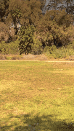 Empty Field Another One Meme GIF