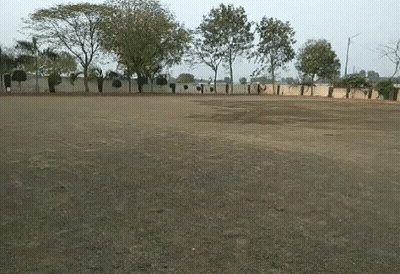 Empty Field With Trees And Fence GIF