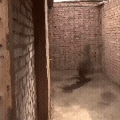 Empty Room With Brick Wall And Wooden Door GIF