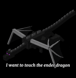 Ender Dragon Minecraft Ender Dragon GIF