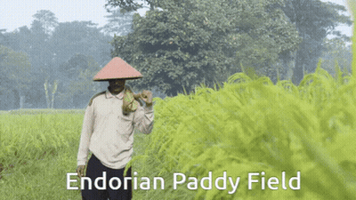 Endorian Paddy Field Man GIF