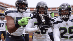 Energetic Happy Seattle Seahawks GIF