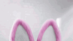 Energizer Bunny Sunglass GIF