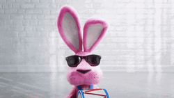 Energizer Pink Bunny I Know Nothing GIF