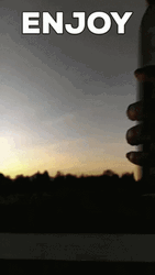 Enjoy With A Bottle Of Wine GIF