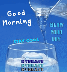 Enjoy Your Day By Staying Cool GIF