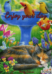 Enjoy Your Day Cat Birds Flowers GIF