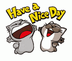 Enjoy Your Day Cute Kittens Dancing GIF
