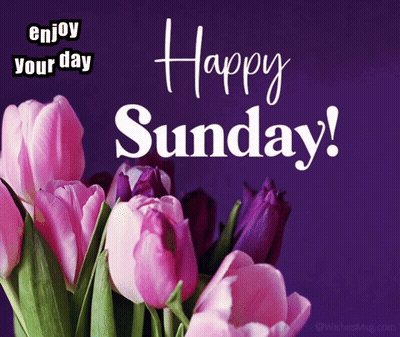 Enjoy Your Day Happy Sunday GIF