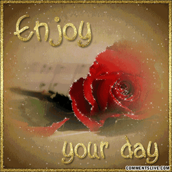 Enjoy Your Day Sparkling Rose GIF