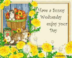 Enjoy Your Day Sunny Wednesday Cat Flowers GIF