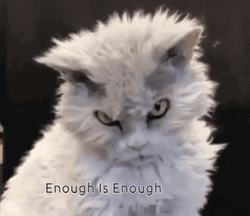 Enough Angry Cat GIF
