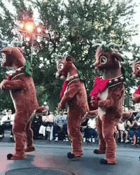 Entertaining Dancing Reindeer Lining GIF