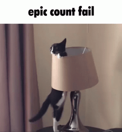 Epic Cat Count Fail GIF