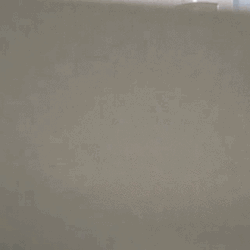Epic Cat Suspense Scary Look GIF