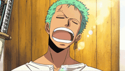 Epic Zoro Fast Reaction GIF