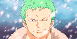 Epic Zoro Smirk Under The Snow GIF
