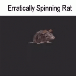 Eratically Spinning Rat Animation GIF