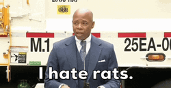 Eric Adams I Hate Rat Showering GIF