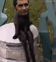 Ernesto Valverde Sitting Cat GIF
