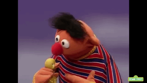 Ernie From Sesame Street Holding Stuffed Duck GIF
