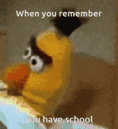 Ernie From Sesame Street Remembering School GIF