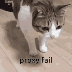 Error Cute Cat Proxy Fail GIF