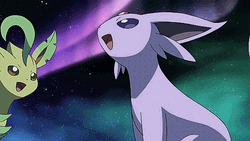 Espeon And Other Pokemon Watching Aurora GIF