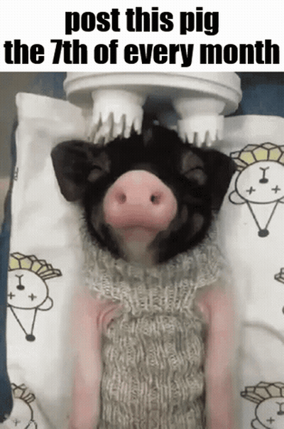 Essica Monthly GIF
