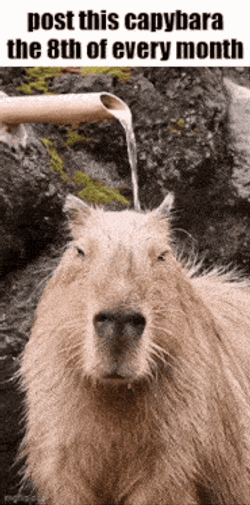 Essica Monthly GIF