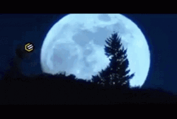 ET Phone Home Flying Bike GIF